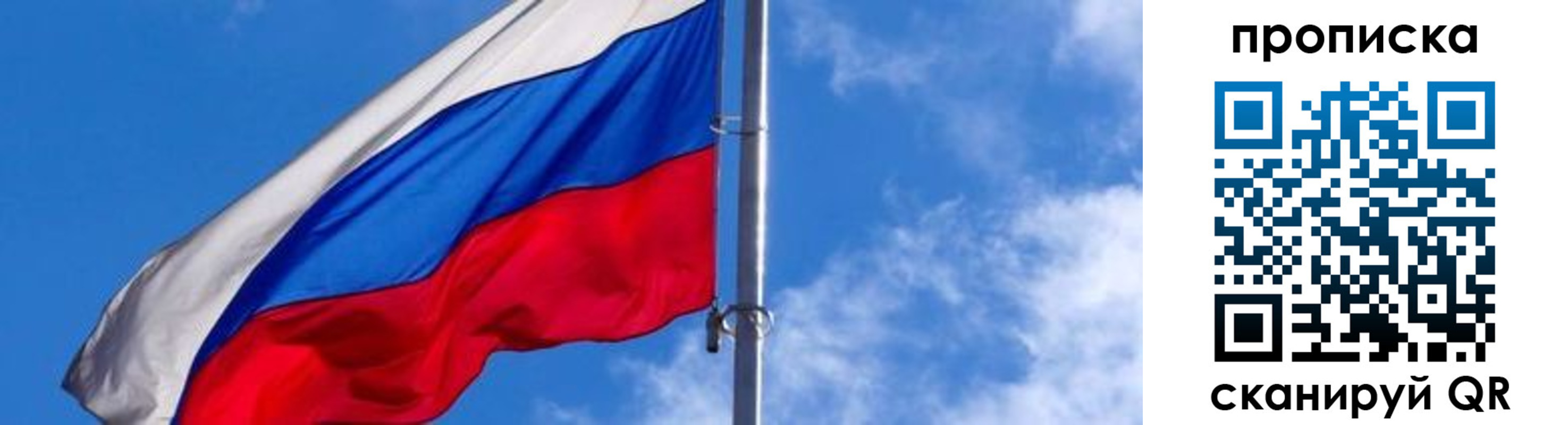 прописка поиск в Сельцо